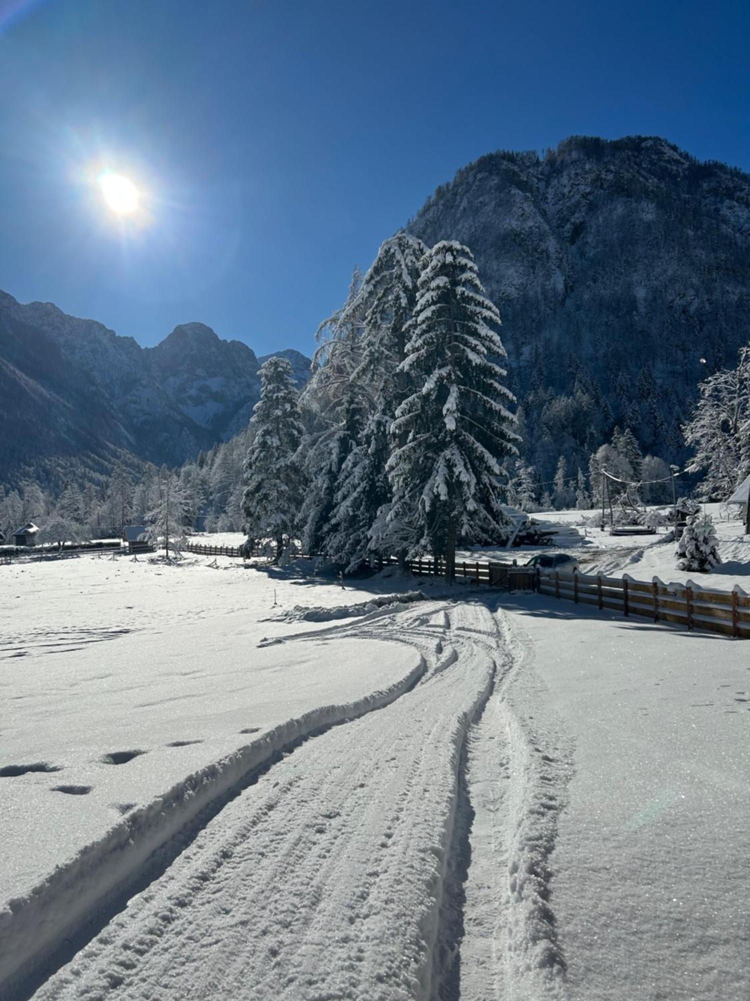 Radovna Chalet With Panoramic View Mojstrana Bagian luar foto